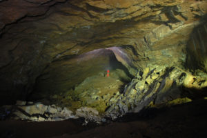 imm 1